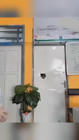 kok aku sihhh #hiburan #massinggih #viral #fyp 