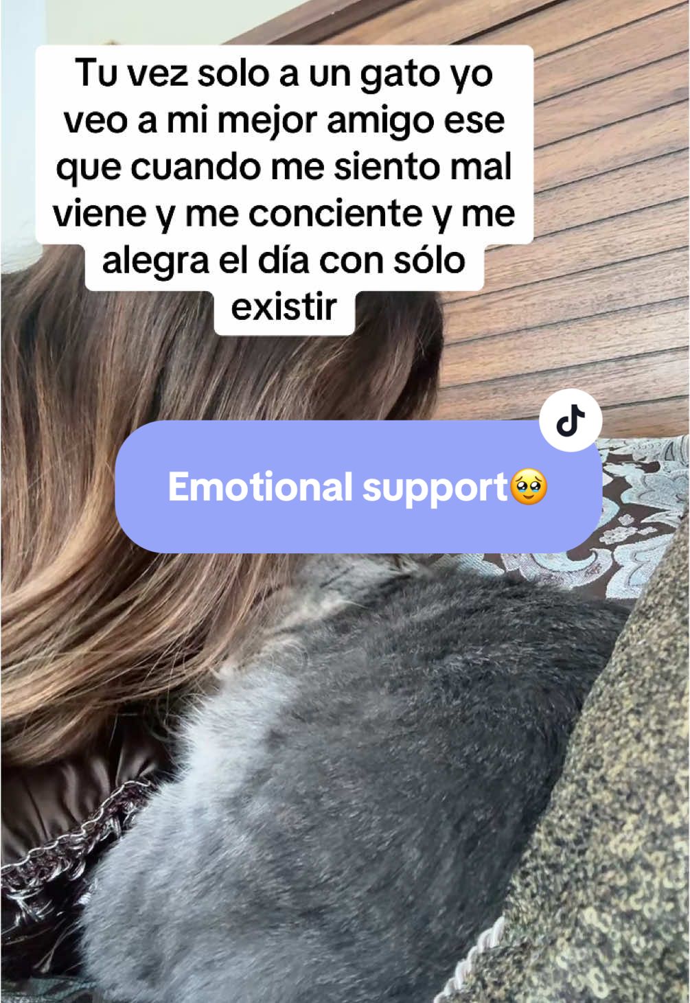 De pequeña siempre fui la oveja negra 🐑… La que tenía más empatía con los animales 🐾 Y eso me generó muchas críticas y rechazo 💔 Porque mi familia no sentía lo mismo… Hoy, mis gatos son mi refugio 💛 Mis amigos que me recuerdan que mi sensibilidad es un regalo ✨ #amomigato #catsoftiktok #miprincipe #mimascotafeliz #chicastiktok #petlovers. Feliz martes! 