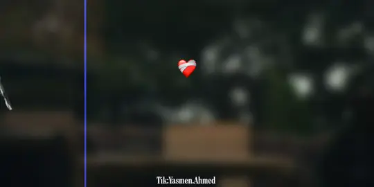 ❤️‍🩹 #بدون_موسيقي_لحياه_افضل🔇 #تصميم_فديوهات🎤🎬 #فولو #تصميمي #fypシ゚ 