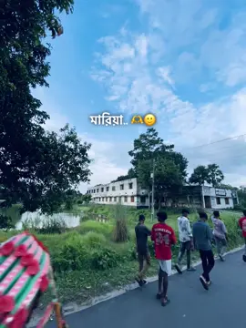 আমার ফুল ত মারিয়া 🫶🌹🐸  . . . . .#unfrezzmyaccount #caption #bdtiktokofficial🇧🇩 #sadcaption #foryoupage 