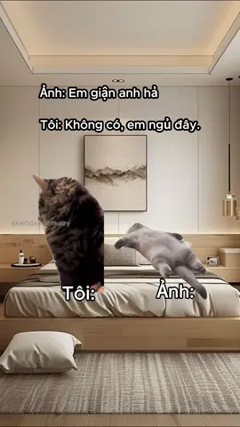 Anh ngủ được luôn hả :))) #kozyfashion #memes 