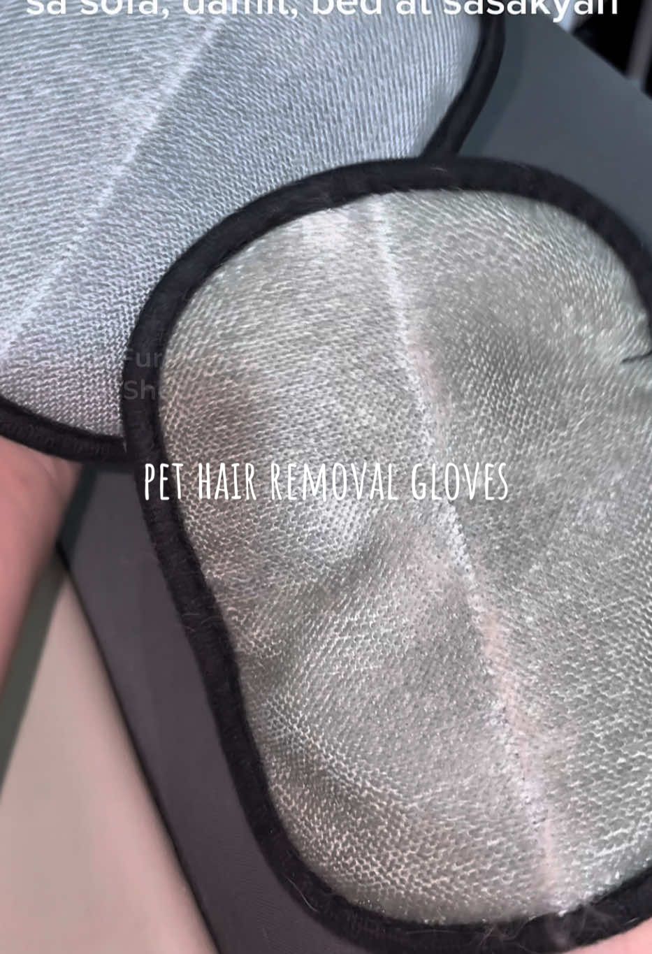 Pet Hair Removal Gloves  #pethairremoval #pethairremover #pethaireverywhere #pethair #dogsoftiktok 