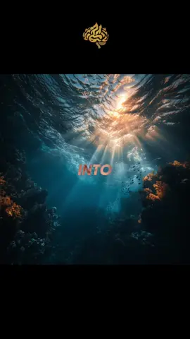 Part 75 | Deep Sea Gigantism 🐳 | #educational #educationalpurposes #deepsea #seamonsters 