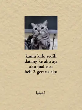 Bagian 33 // @محمد نور سالم 🤭🤭 #quoteslucu #kucinglucu #foryoupage #masukberanda #fyppppppppppppppppppppppp 