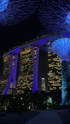 日本より涼しかった #marinabaysands #singapore #マリーナベイサンズ #luxuryhotel #viral 