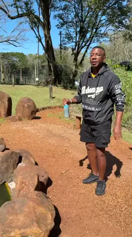 aiaia uiui shake de ração #rachao #milk shake #vitamiaaaaaaa😍😍😍😍 @Reevo Store @Onbongo #vivanatureza 