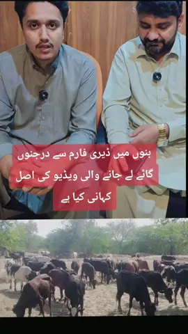 خیبرپختونخوا بلخصوص جنوبی اضلاع میں امن و امان صورتحال سے متعلق سینئر صحافی رسول داوڑ کے ساتھ خصوصی گفتگو  #kpk #kpgov #Banu #northwaziristan #lawandordersituation 
