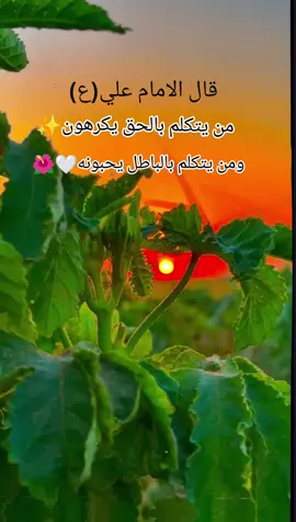 #اخر فيديو اذا ماصعد اعتزل تفاعل نازل #اذعجبكم_الفيديو_حطو،لايك_متابعه💛 #احبكم_يا_احلى_متابعين #اخر_عباره_نسختها🥺💔🥀 الشعب الصيني مال حل 