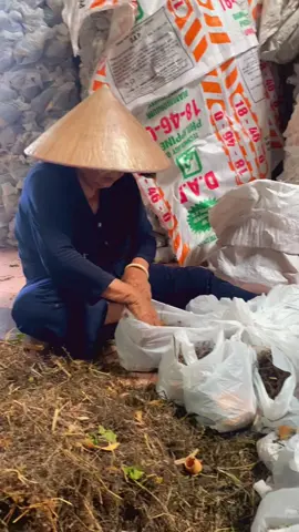 Hữu duyên được đến đây bốc thuốc cùng các Bà 🥰 (Nhà thuốc ông Tư Ngoan) 🙏🏻