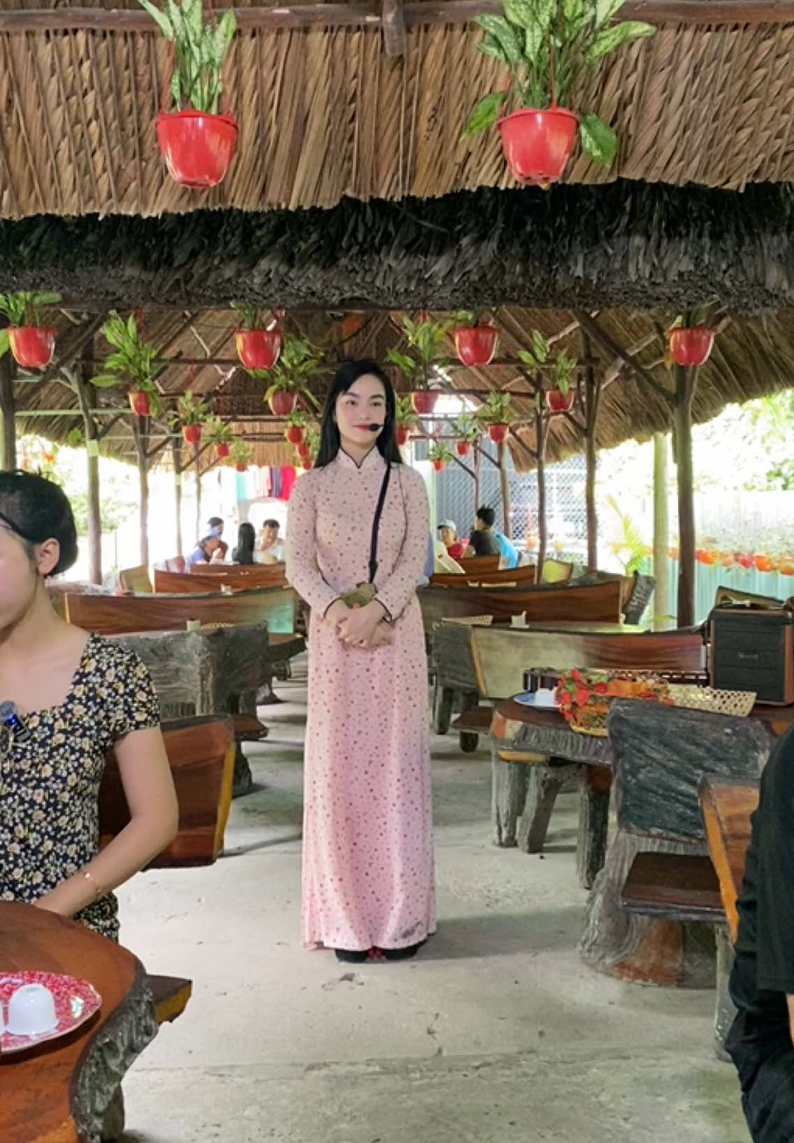 Về cù lao Thới Sơn nghe hát đờn ca tài tử Nam Bộ cùng em đi 🥰🌴#conthoison #dulichtiengiang 