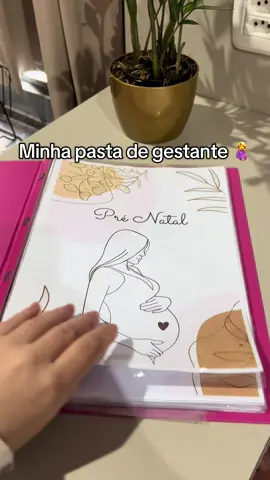 Quem mais é do time que gosta de estar tudo organizado? Me sinto bem mais segura com essa pasta, eu levo ela comigo pra todo lugar  #gravida #tentante #gestante #bebemenina #filhos 
