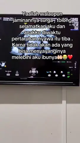 Sehat terus anak gtg kita berjuang bareng bareng ya syg , semoga mama kuat ya supaya bisa jumpa dede ditahun depan🫶🏻👼🏻 ❤️#bumilhappy #anaksholeh #bumilsehat #tm2 #pcoshamil 