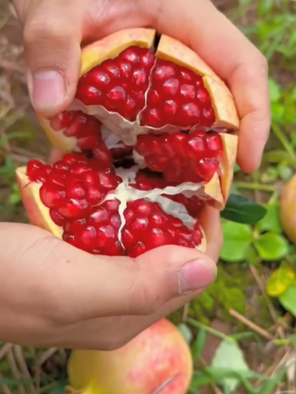 #🕋📿🕌regay_islam🌼🦋🤲 #islamicvideo #foryou #cupcut #fyp 