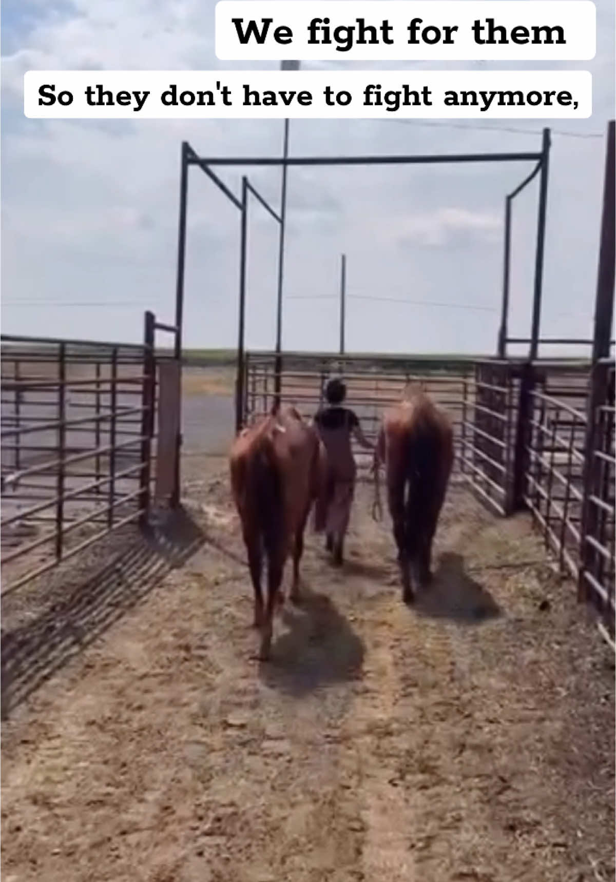 On Saturday we head back to auction. This particular auction is a bit of a drive and starts early Saturday morning, so we head up the afternoon before on Friday, to get our footing. Horses arrive all day Friday and stay through Saturday until they are all sold. We haven’t been back to this auction since November right before Jojo’s passing. It’s emotional, it’s heavy, but it’s changing lives so I’ll do it again and again, for them. We intend to take home at least two horses for what our available space can comfortably handle, but knowing myself, I’ll never leave someone behind who needs it. If you’d like to donate towards this auction, we appreciate every bit more than you know, because we honestly can’t do this without your help.  Link in bio  Thank you thank you thank you💜
