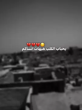 #الفراق_اقسى_انواع_العذاب💔🤕 #مقبرة_وادي_السلام_النجف 