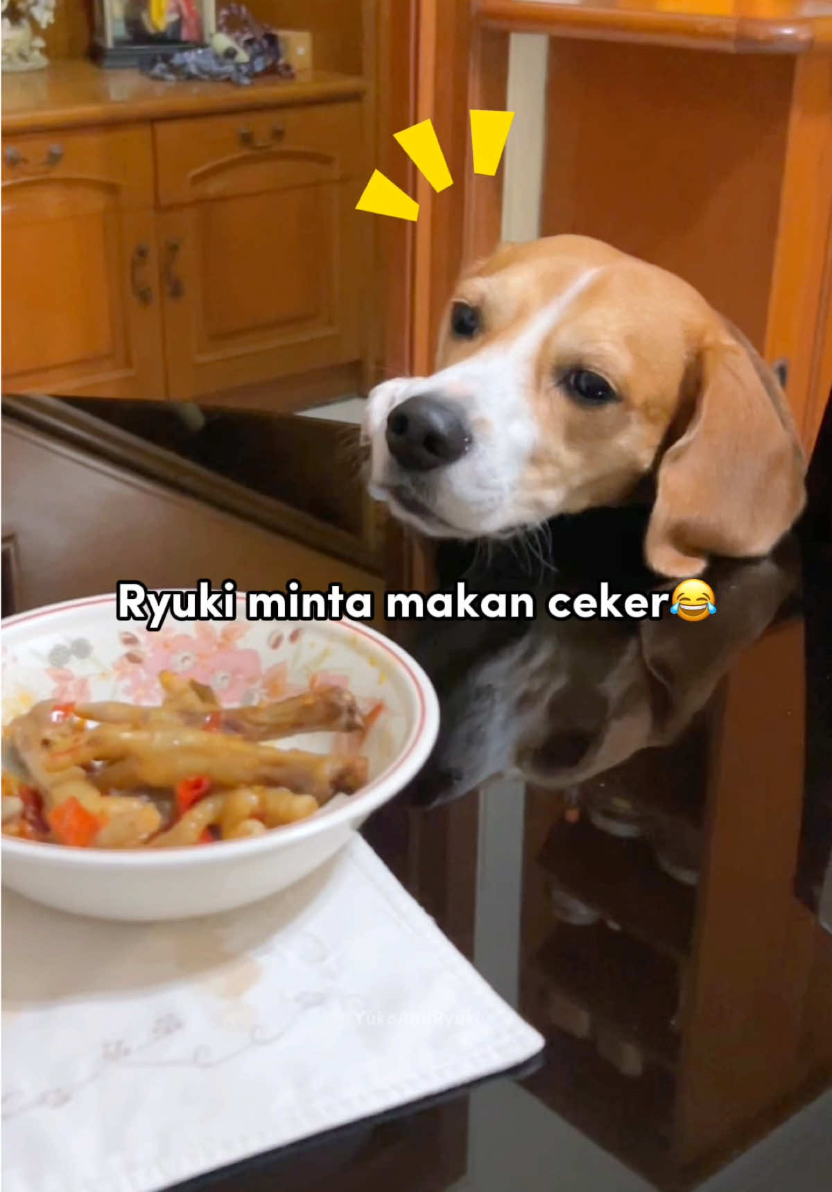 Ryuki ngambek minta makan ceker bebek😂🍗 #yukoandryuki 
