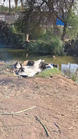 #ابوهيبه_جبل_الحلال_ياويلگ👌🏼 