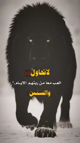 #مساء_الخير #تصميم #capcut 