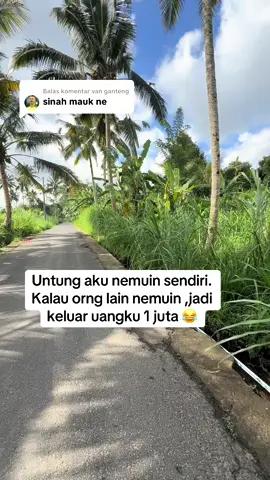 Membalas @van ganteng ing maukk blii