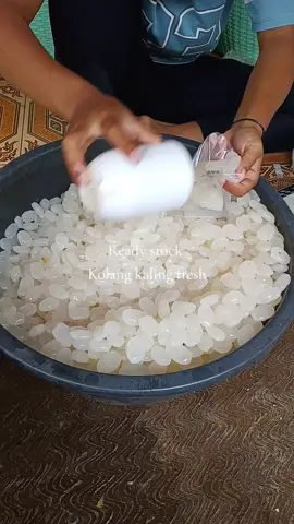 Kolang kaling segar berat 1kg #fyp #kolangkaling 