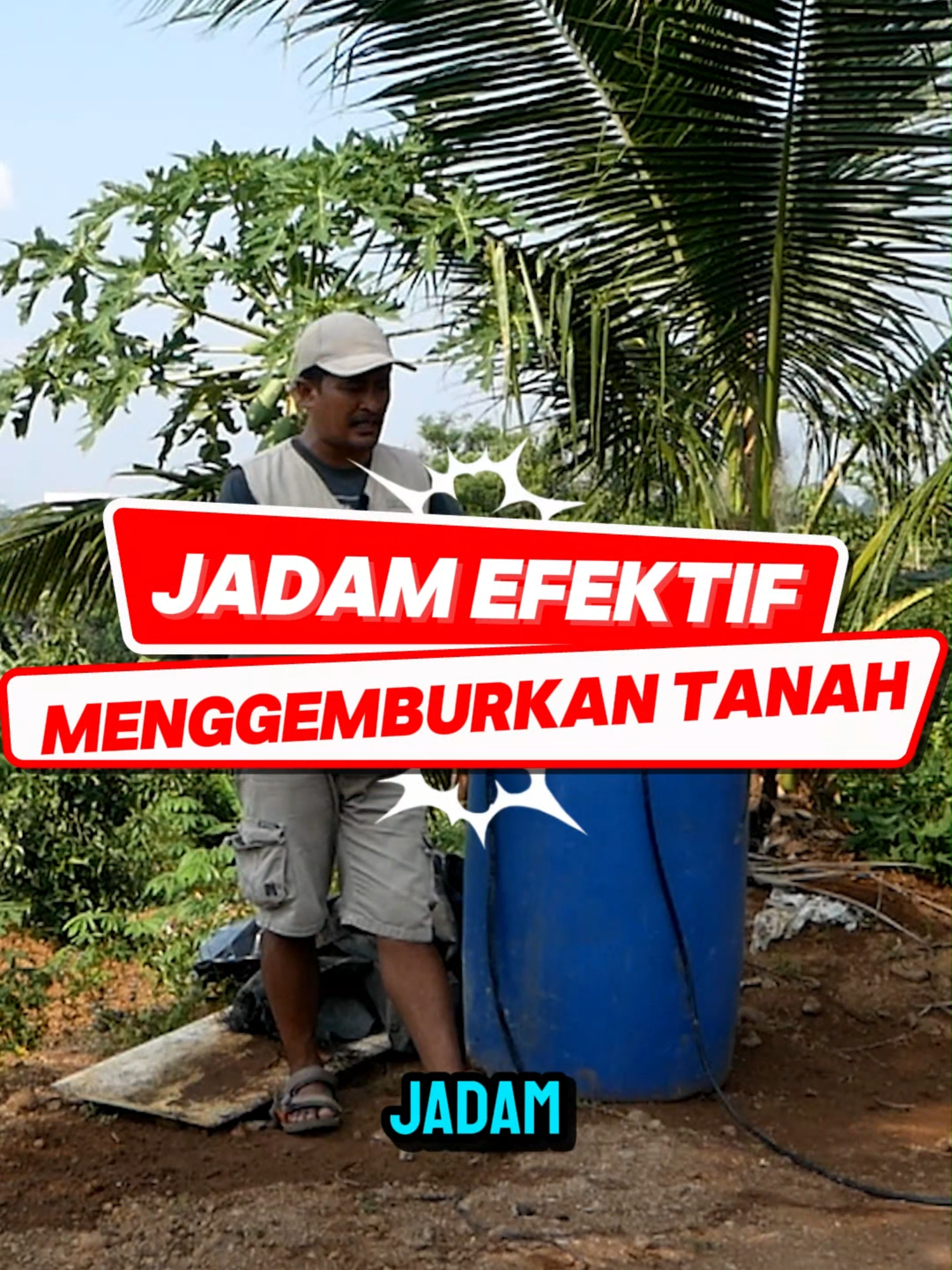Jadam Efektif Menggemburkan Tanah#alpukat #jadam #pupukorganik #bibitbuahku
