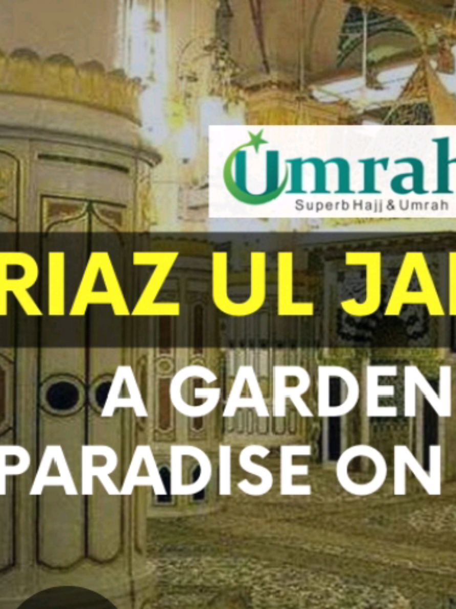 مسجد نبوی کا چپہ چپہ گوشہ گوشہ مقدس و مظہر اور عطر بیز ہواؤں سے مشک بار ہے ۔ آج آج دور دو نبوت کا سارا شہر مدینہ مسجد نبوی میں شامل ہو چکا ہے۔ پورے شہر میں وہ کون سی جگہ ہوگی جسے حضرت نبی کریم ملی ایم کے قدم چومنے کی سعادت نصیب نہیں ہوئی ہوگی۔ اس شہر کا ہر ذرہ آفتاب و مہتاب سے بھی زیادہ اپنے آپ کو خوش قسمت تصور کرتا ہے، وہ اس لیے کہ اس کے سینوں پر آفتاب رسالت کے قدم پڑتے رہے۔ ہماری آنکھوں کی پلکیں ان ذروں کو چومنے کے لیے ہمہ وقت بیتاب رہتی ہیں۔ مسجد نبوی کا وہ حصہ جو روضہ رسول پاک سالی ای ایم اور منبر مصطفی صلی السلام کے درمیان واقع ہے، باقی سب حصوں سے ممتاز اور محترم ہے۔ اس حصے کو نبی آخر الزمان نے ریاض الجنتہ کہا ہے۔ اس مخصوص ٹکڑے کے متعلق حضرت رسول اکرم کی حدیث مبارکہ ہے کہ۔۔ ترجمہ : میرے گھر اور میرے منبر کے درمیان والی جگہ جنت کے باغوں میں سے ایک باغ ہے۔ صلى الله پاک یعنی یہ حصہ جنت کا ایک ٹکڑا ہے جو اس دنیا میں اتارا گیا ہے اور قیامت کے دن یہ ٹکڑا واپس جنت کی طرف اٹھا لیا جائے گا۔ اس لیے ریاض الجنتہ کا مقام و مرتبہ ہمارے نزدیک بہت ارفع و افضل ہے۔ اس حدیث کو حضرت ابوہریرہ نے روایت کیا ہے۔ زائرین اس حصہ میں نماز ادا کرتے اور عبادت کرتے ہوئے یہ تصور کرتے ہیں کہ وہ جنت کے حصے میں بیٹھے ہوئے ہیں۔ نبی اکرم کی حدیث مبارکہ کے مطابق مسجد الحرام میں ایک نماز کا ثواب ایک لاکھ نمازوں کے برابر ہے اور مسجد نبوی میں ایک نماز کا ثواب ایک ہزار نمازوں کے برابر ہے۔ گویا کے مسجد نبوی کا مقام مرتبہ مسجد الحرام کے بعد ہے لیکن مسجد نبوی میں ریاض الجنتہ کا مقام و مرتبہ کتنا بلند ہے اللہ اور اللہ کے رسول ہی بہتر جانتے ہیں۔ ریاض الجنتہ روضتہ الرسول سے منبر تک 22 میٹر طویل اور 15 میٹر چوڑا ہے۔ اس حصہ میں آٹھ ستون ایسے ہیں جن کو مسجد نبوی کے باقی ستونوں سے ممتازیت حاصل ہے۔ ان ستونوں کو سنگ مرمر اور سنہری مینا کاری سے مسجد کے باقی ستونوں سے نمایاں کیا گیا ہے۔ یہ ستون روضہ انور کی مغربی دیوار کے ساتھ ممتاز کر دیئے گئے ہیں جو ریاض الجنتہ کے اندر واقع ہیں۔