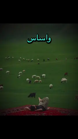 #خواطر #ستوريات #اكسبلور #الشعب_الصيني_ماله_حل😂😂 #مالي_خلق_احط_هاشتاقات 