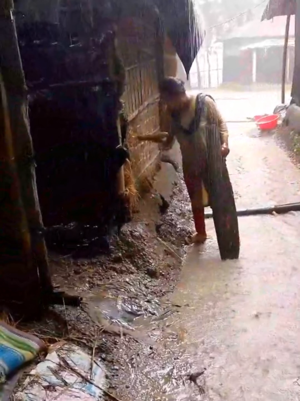 dog meeting 805 | #dogmeeting #growmyaccounttiktoknidashazadii1  #foryou #viral_video #dog #unfreezemyacount #trendingdogtiktok  #santawithkashmirfyp  #puppydog804 