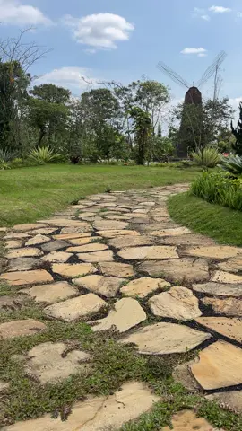 #بونشاك #بونشاك🇮🇩 #بالي_اندونيسيا🇲🇨♥️ #شهر_عسل #اندونيسيا 