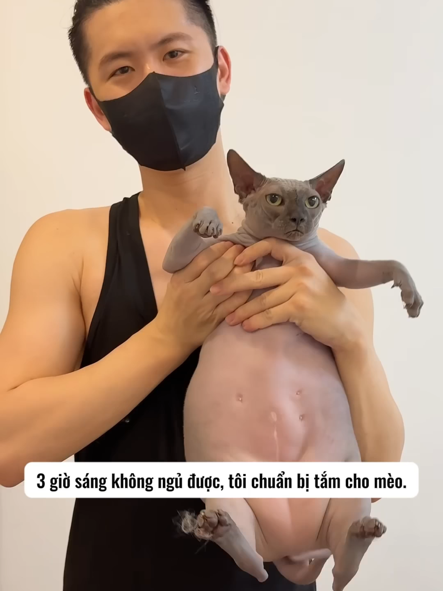 Không ngủ được tôi loi mèo ra tắm #cheemsthientai #meocute #tiktokviral #yeumeo #catlover #catsoftiktok #cattok #funnymoments