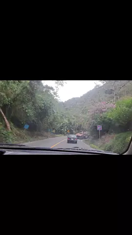 Cuando juegan con tus sentimientos  jajajaja 🤣 🤣🤣🤣🤣#videoviral #humortiktok #videconletras #LIVEIncentiveProgram #LIVECareer 