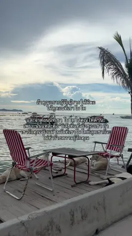 #fyxxyyyyyyyyyyyyyyyyyyyyyyyyyyy #เทรนความรัก💗 #ชีวิตจริงยิ่งกว่าละคร 