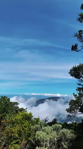 #pangrango3019mdpl  #pangrangoviacibodas  #gedepangrango 