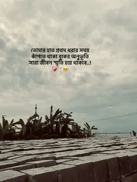 Ho🥺🕊️#500k #1millionaudition #200k #foryou #caption 