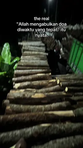 🤲🏻😇#kayusengon #jayalestari #jualbelikayu #fyp 