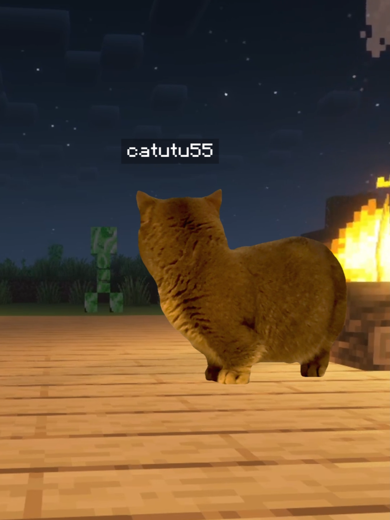 @catutucomon the beat #tiktok #kittycats #cat #memestiktok #Minecraft #fyp
