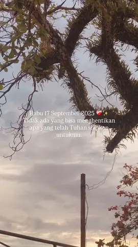 23 : 50 🪐