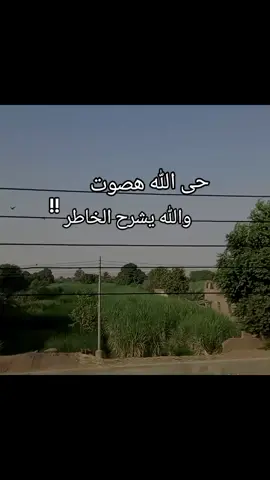 #أسوان #اسيوط_سوهاج_قنا_الاقصر_اسوان_ #الصعيد #مشاهدات #متابعين 