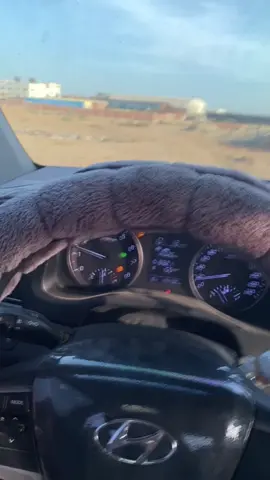 #عيايده_ولينا_فى_قمه_المجد_رايات #عيايده_ولينا_فى_قمه_المجد_رايات🦅🦅 #ابوعويمر #الغر_بلاد_عيايده #عيايده_ملك_الغر 