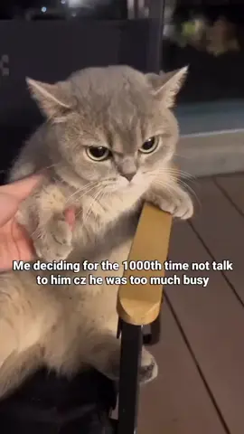 Jadu kea Howa ha moty apny 🤌🏻😫😂 #foryoupage #fyp  #support_me  #whatsappstatusvideo  #lovers😍 #unfreezemyacount 