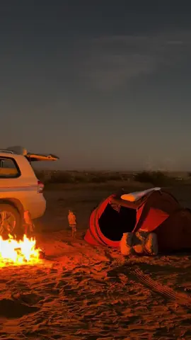 #fyp     #fypシ     #الصمان    #نواف_منيف 