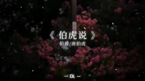 伯虎说 #伯虎说 #伯虎说dj #nhactrung #nhactrungquoc 