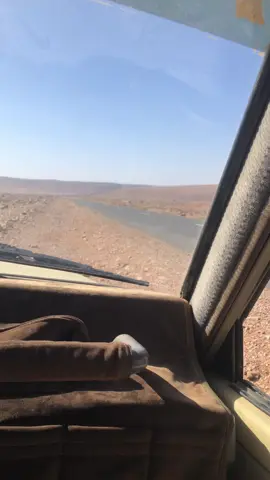 #شعب_الصيني_ماله_حل😂😂 #البادية #صحراء_الغربية 