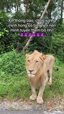 Tại chòg nói chòg hong có ghen baoh 😤 #GreenCreator #VinWonders #dulich #xh #fyp 