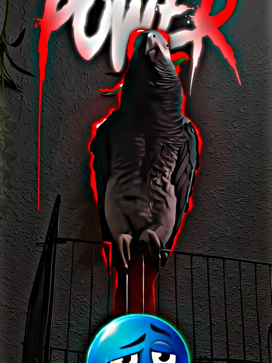 MUSLIM PARROT POWER  #islamic #maxtroll #plasefollowme #onlymuslimvideos #cutemuslimparrot 