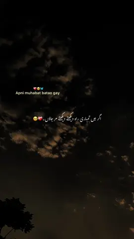 اگر میں تمہاری راہ دیکھتے دیکھتے مر جاؤں۔❤️‍🩹 #1millionaudition#urdupoetry#foryoupage#growaccount#kainestix 