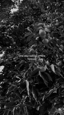 ❤️‍🩹💯#fyyyyyyyyyyyyyyyy 