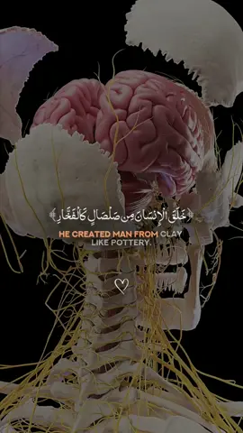 #خلق_الانسان_من_صلصال_كلفخار🥀🌼🍃 #قران #ايات_قرانيه_تريح_القلب #سبحان_الله_وبحمده_سبحان_الله_العظيم 