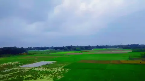 #😔😔😔 #💖💖💖 #আল্লাহ্_সর্বশক্তিমান #🥀🥀🥀🥀🥀🥀🥀🥀🥀🥀🥀🥀🥀🥀🥀 #😔😔😔 