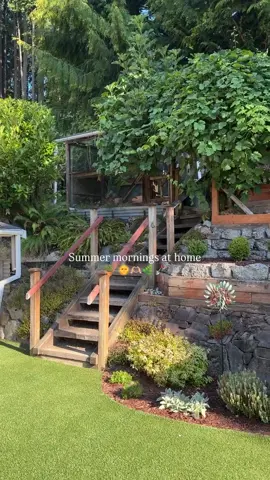 Not ready to let go of summer but high key v excited for fall 🥹 • • • #gardentok #backyardvibes #garden #nature #gardeninspiration 